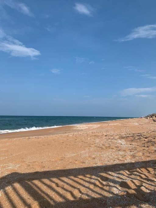 Ormond Beach, Fun & Loving Sun! Екстер'єр фото